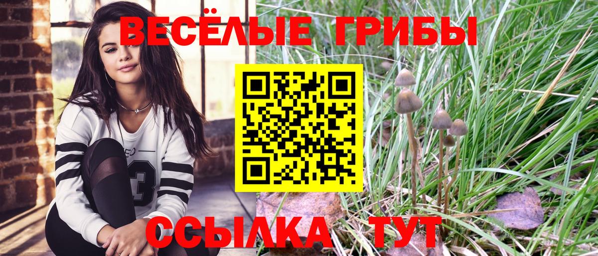 Псилоцибиновые грибы Psilocybe Севастополь